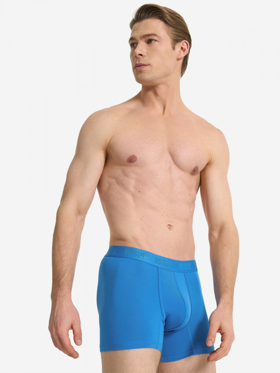 Трусы мужские NO SIZE, 3 штуки
