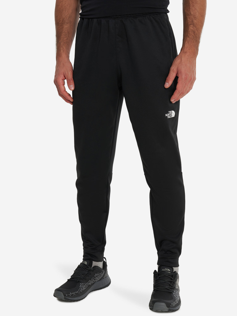 Брюки флисовые мужские The North Face Reaxion