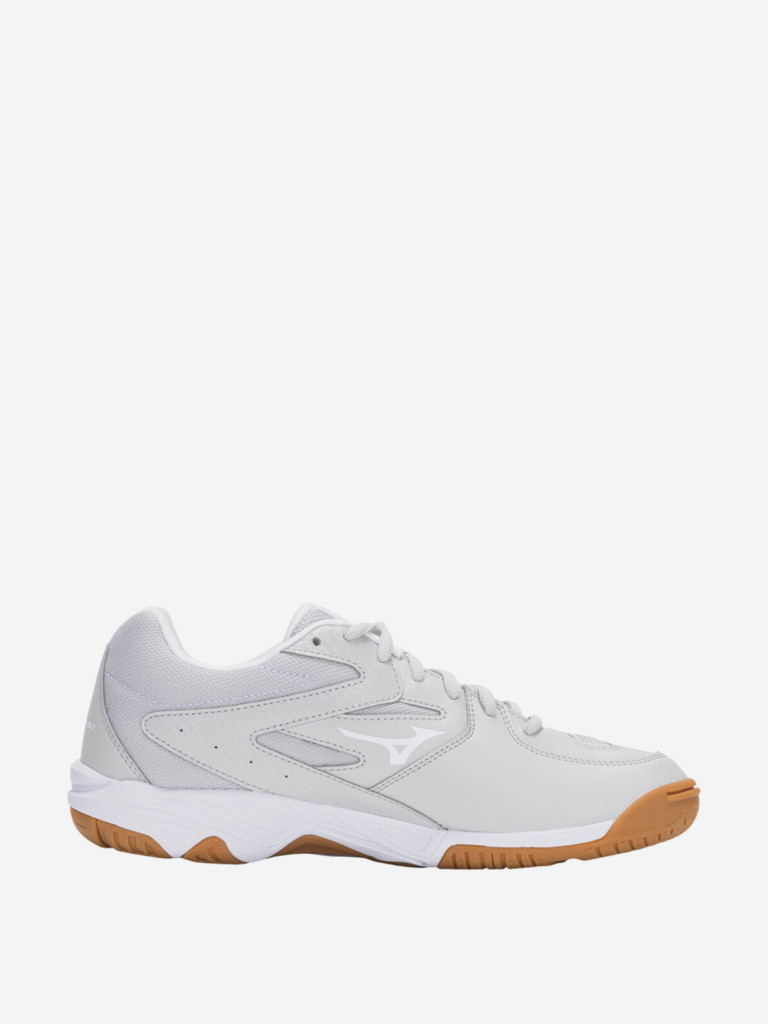Кроссовки мужские Mizuno Sky Blaster