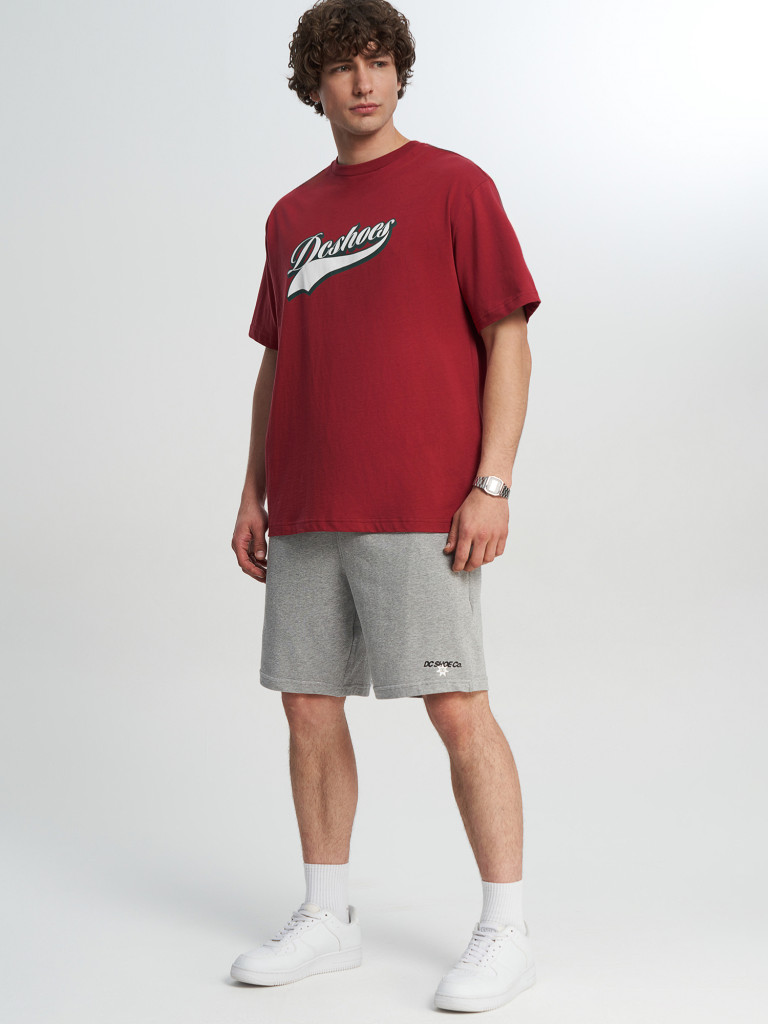 Футболка мужская DC Shoes Old Fashion