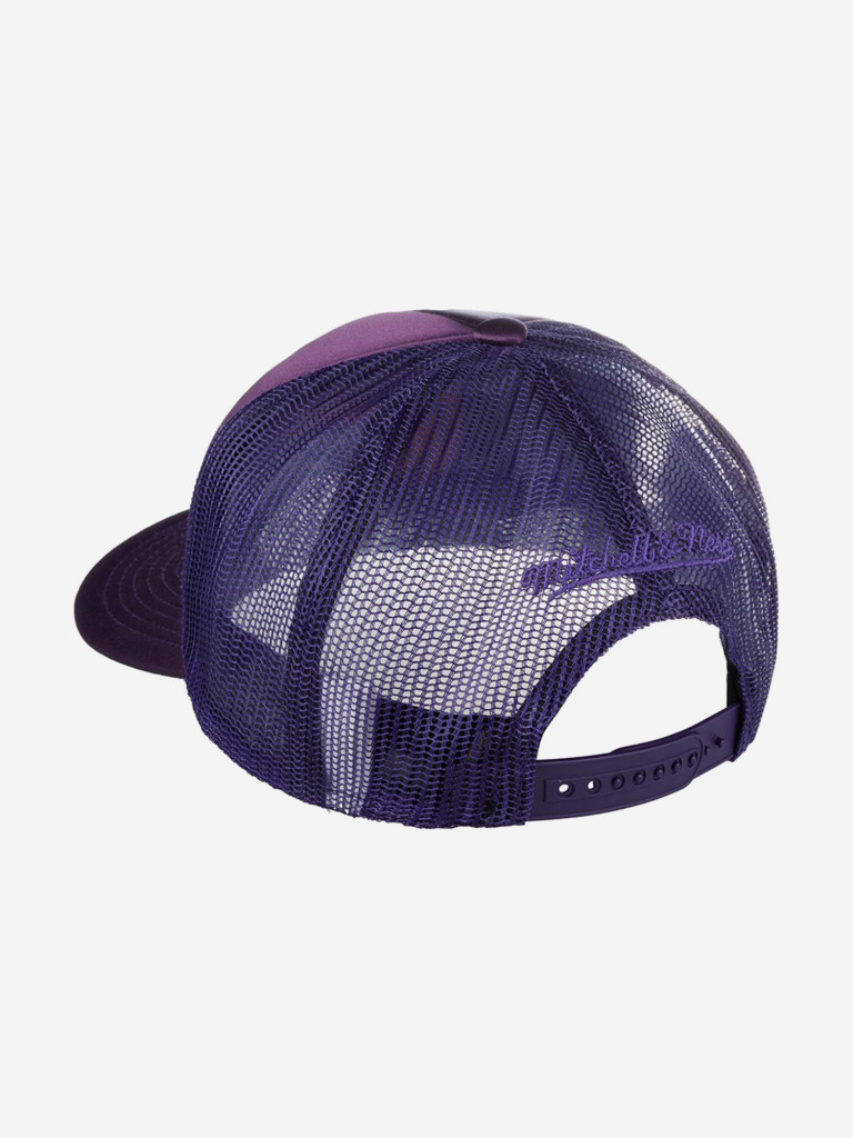 Бейсболка MITCHELL NESS HHSS3467-TRAYYPPPPURP Toronto Raptors NBA