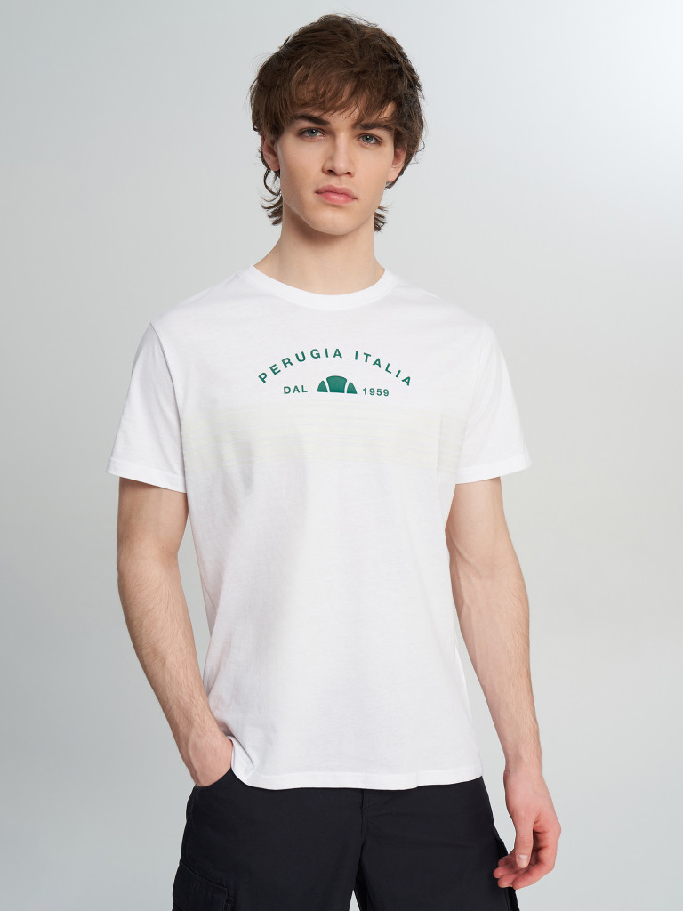 Футболка мужская Ellesse