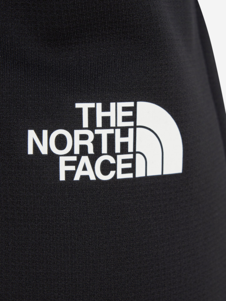 Брюки мужские The North Face Reaxion 2.0