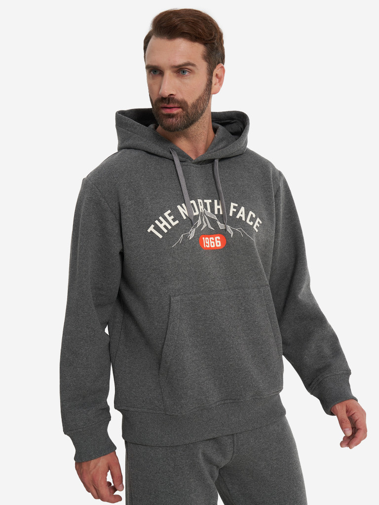 Худи мужское The North Face Varsity Graphic
