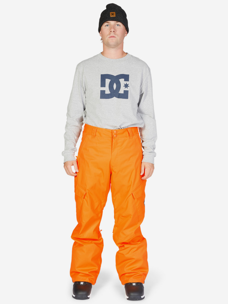 Брюки утепленные мужские DC Shoes Banshee