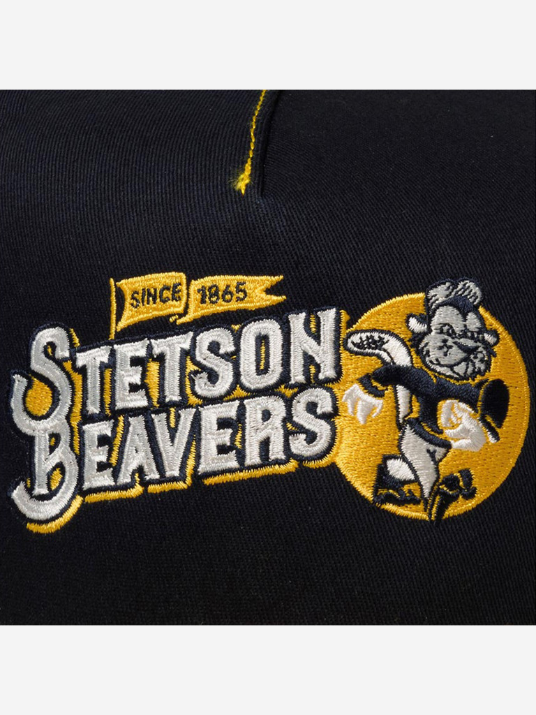 Бейсболка с сеточкой STETSON 7751181 TRUCKER CAP FOOTBALL BEAVER (желтый)