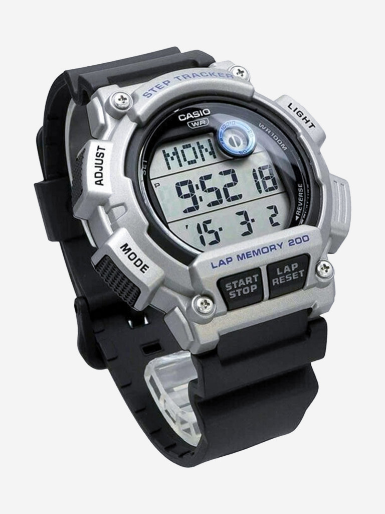 Наручные часы CASIO WS-2100H-1A2