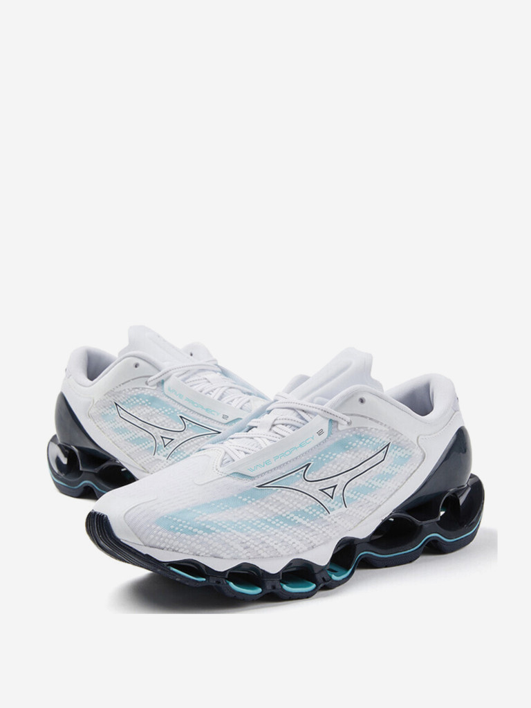 Кроссовки мужские для бега Mizuno Wave Prophecy 12