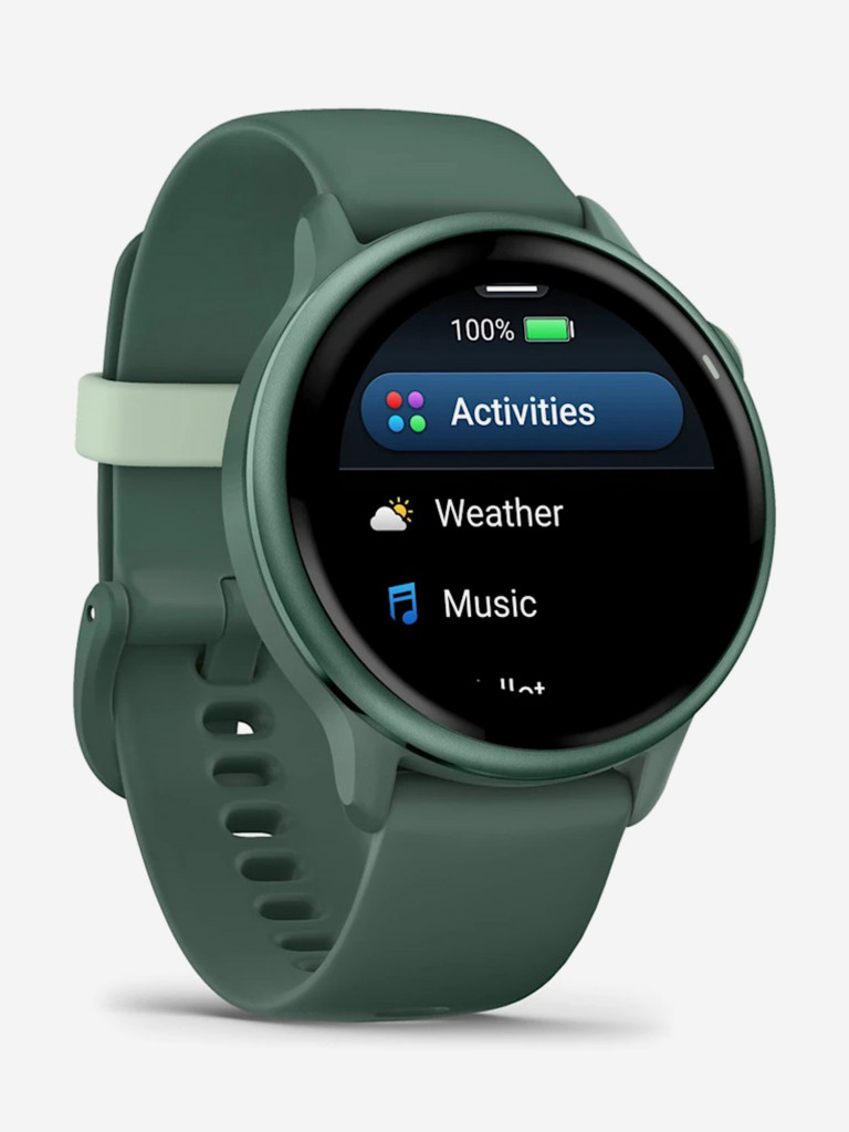Спортивные часы GARMIN Vivoactive 6