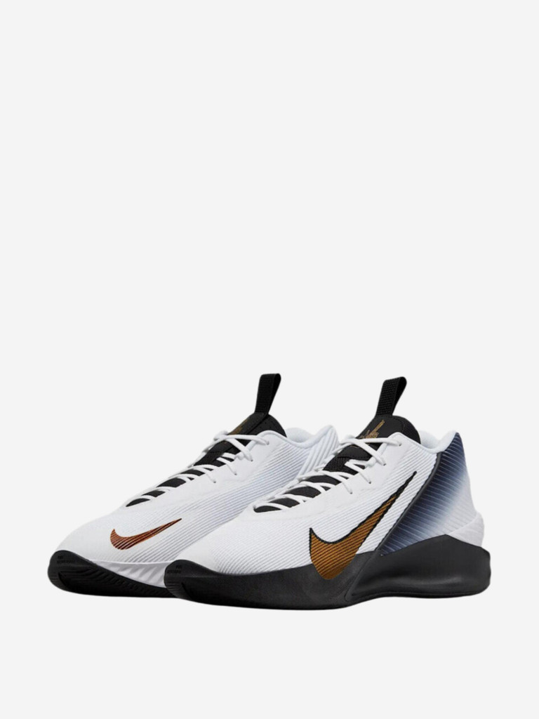 Кроссовки для баскетбола Nike G.T. Jump Academy