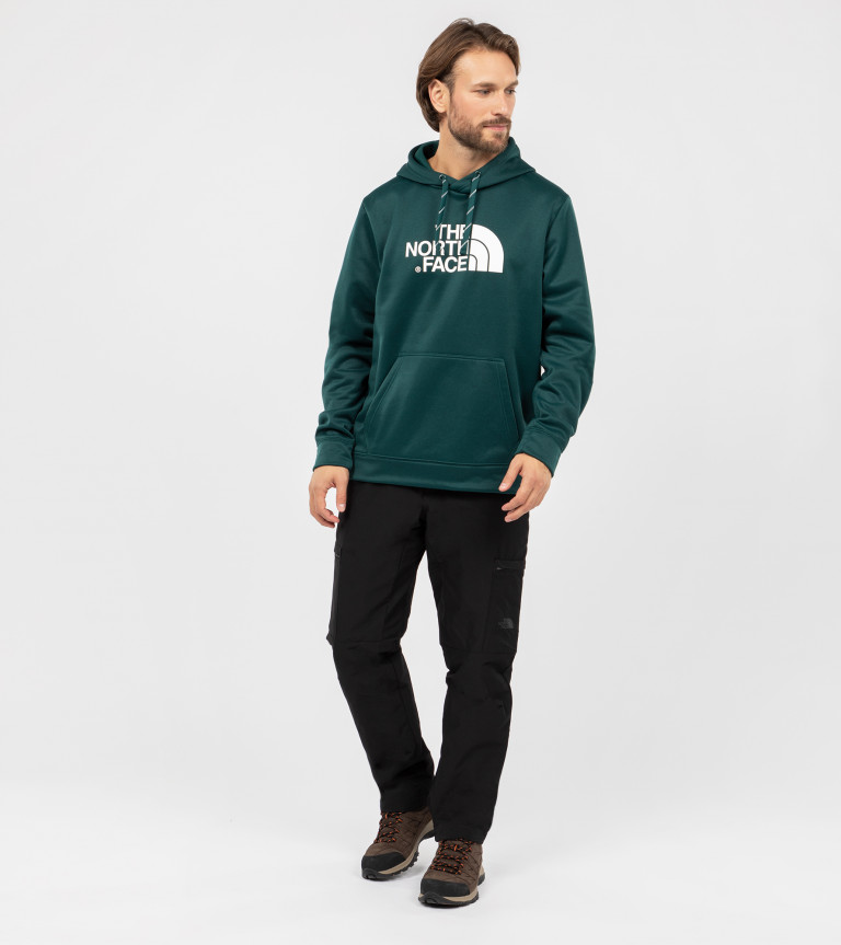 Худи мужское The North Face Surgent