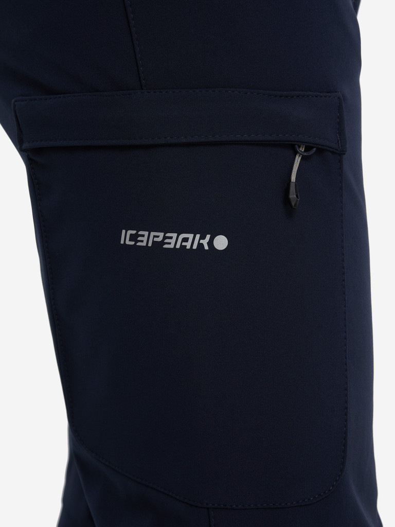 Брюки утепленные мужские IcePeak Bouton
