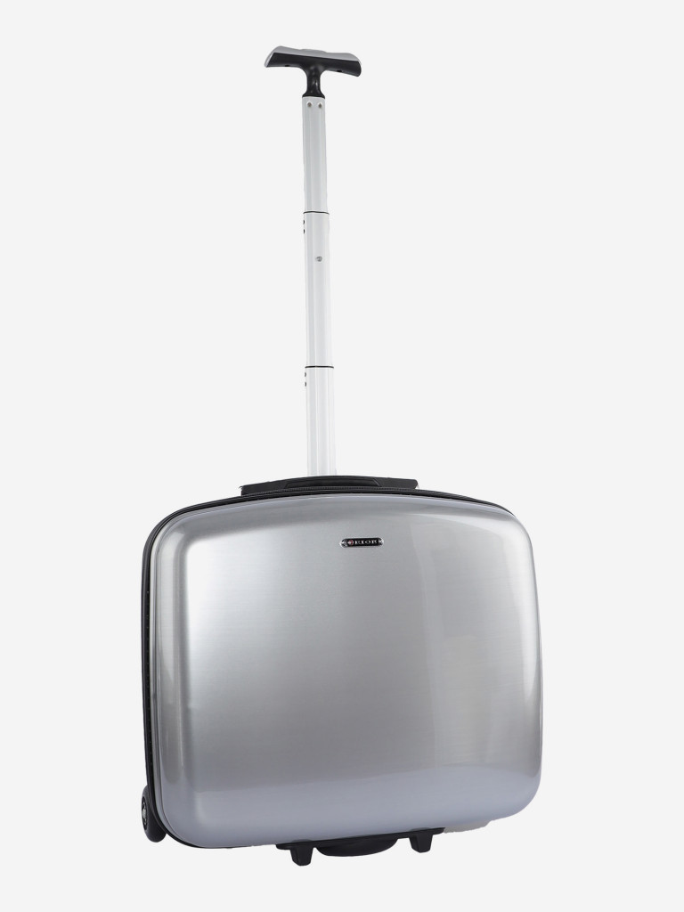 Чемодан RION+ S