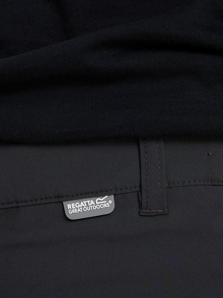 Шорты мужские Regatta Mountain II