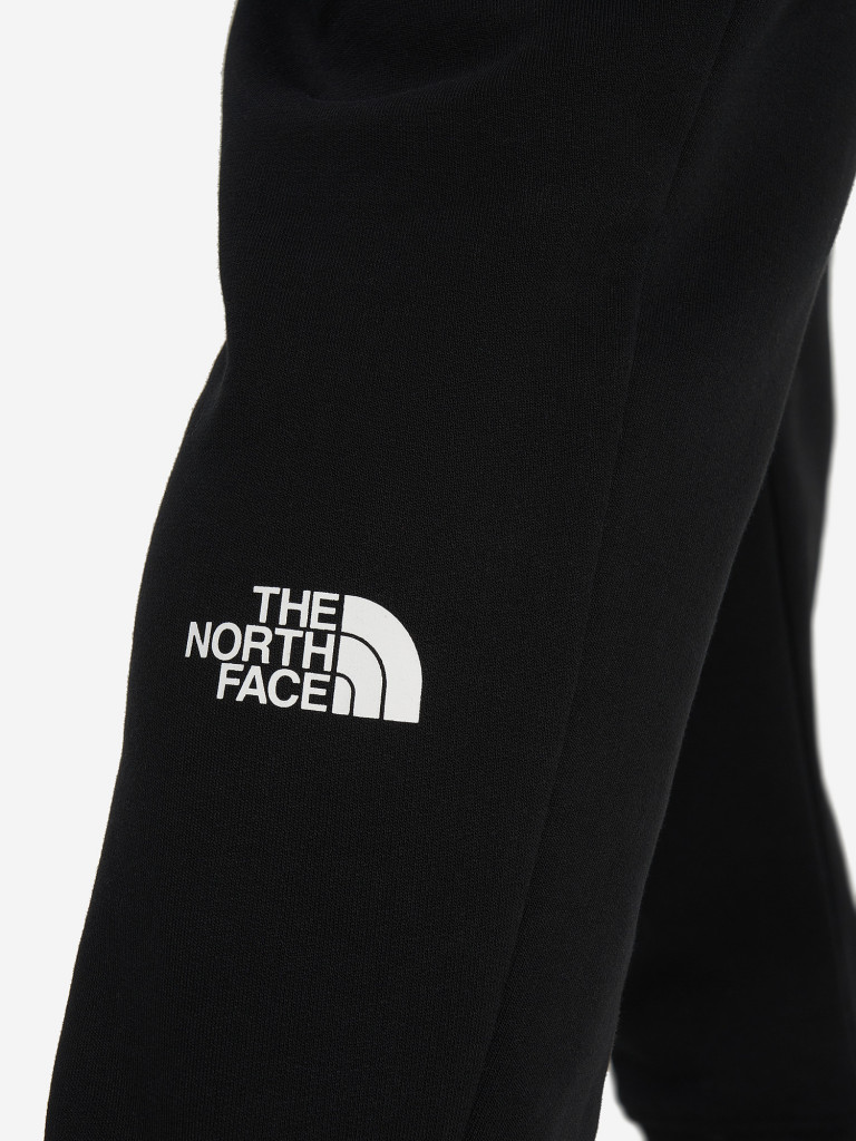 Брюки мужские The North Face Drew Peak