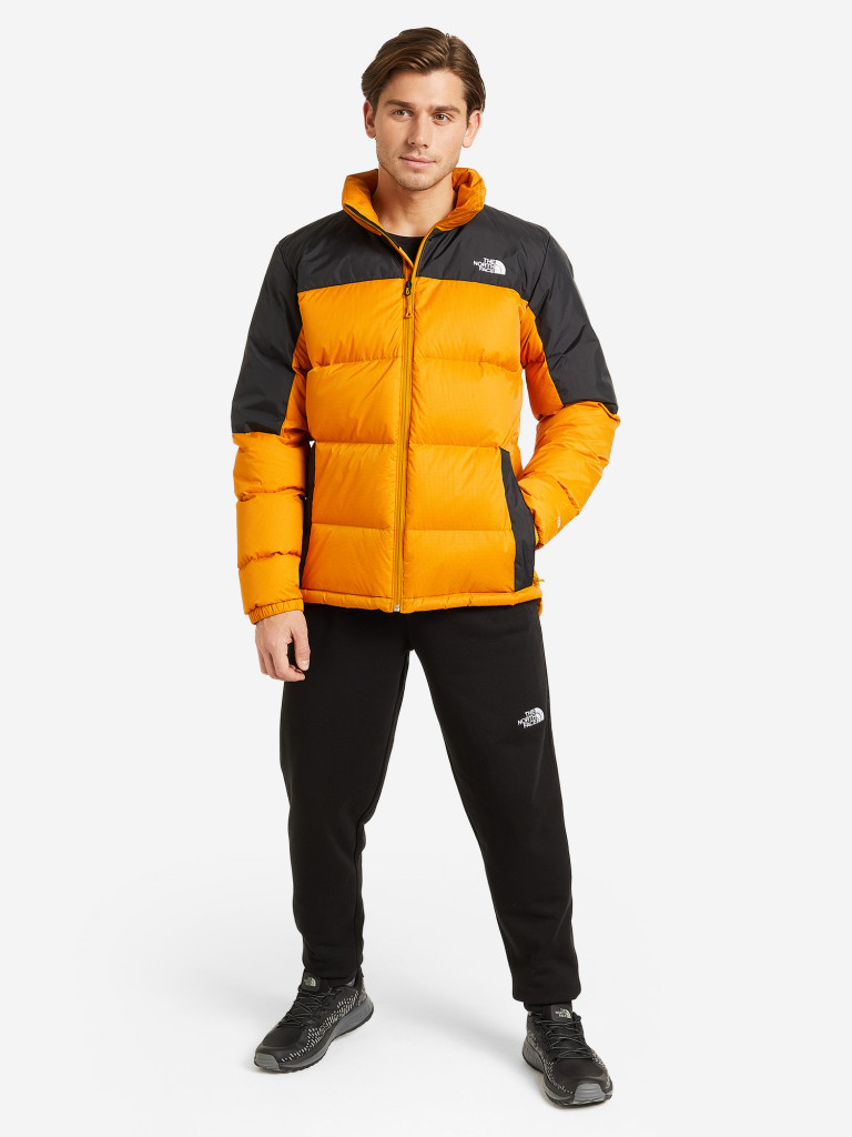 Пуховик мужской The North Face Diablo
