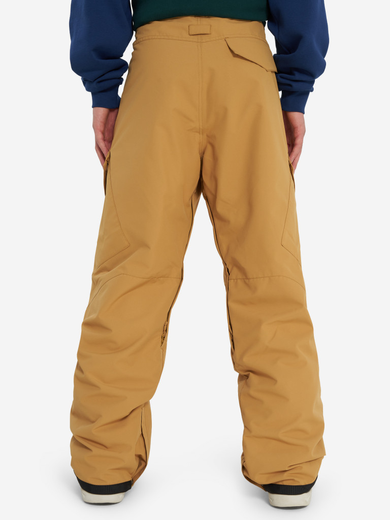 Брюки утепленные мужские DC Shoes Banshee