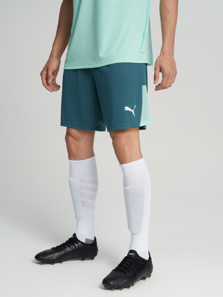 Шорты мужские PUMA Teamliga26