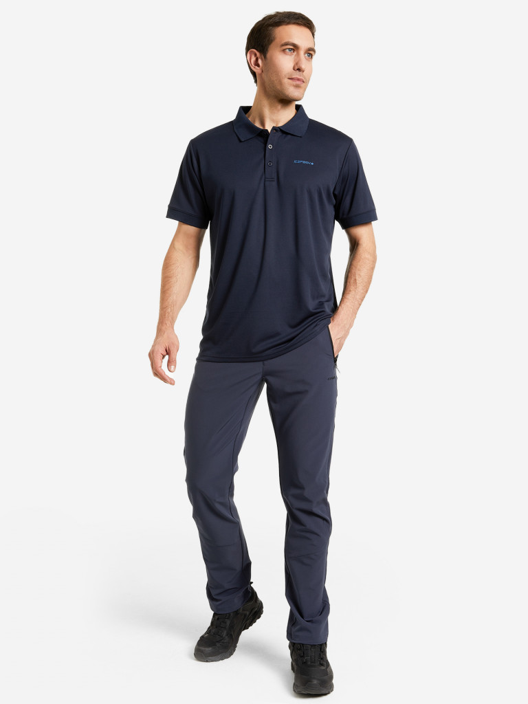 Брюки мужские IcePeak Baird