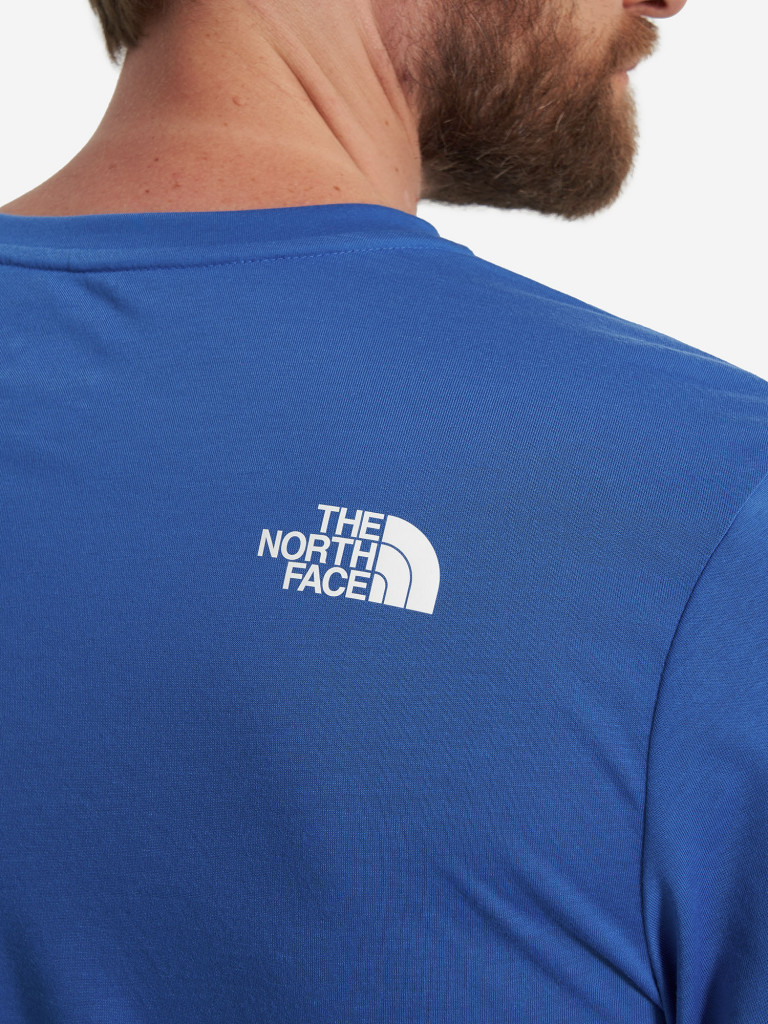 Футболка мужская The North Face Mountain Foundation Coordinates