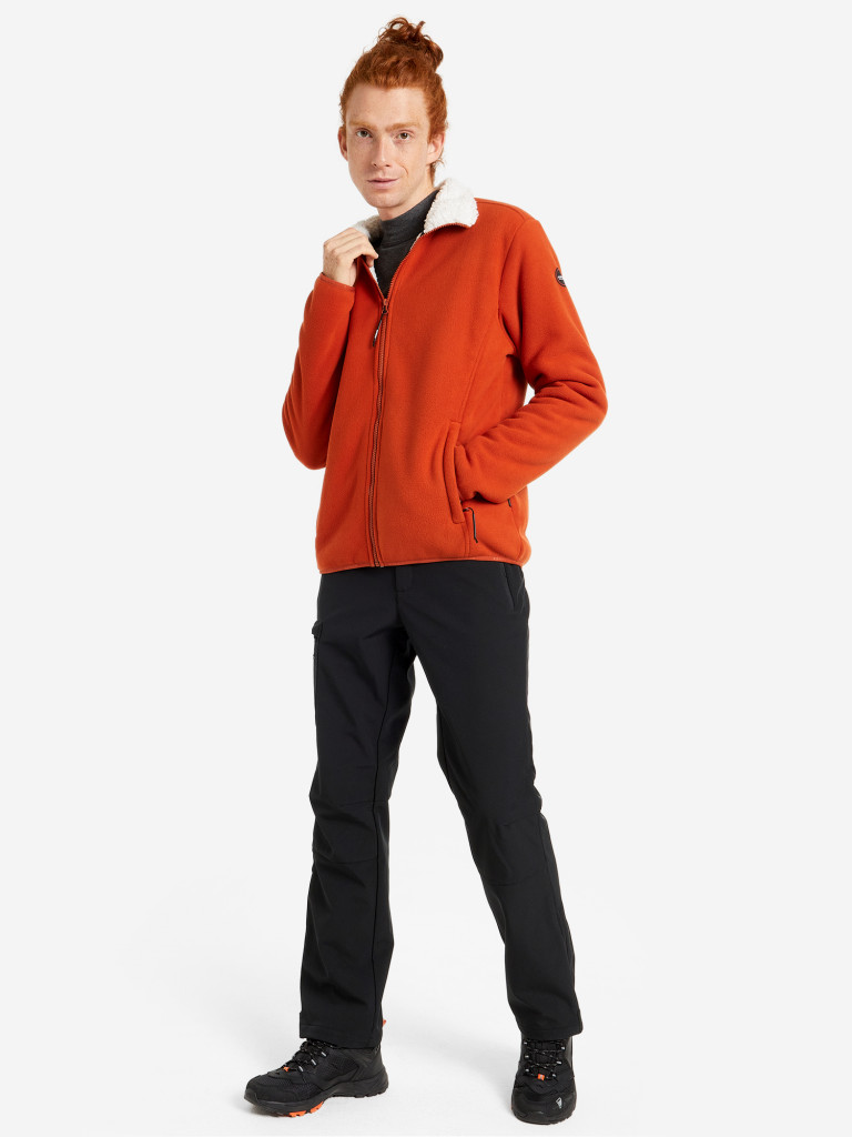 Джемпер флисовый мужской IcePeak Vilas