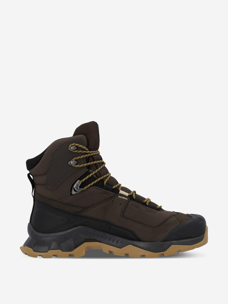 Ботинки мужские Salomon Quest Element GTX