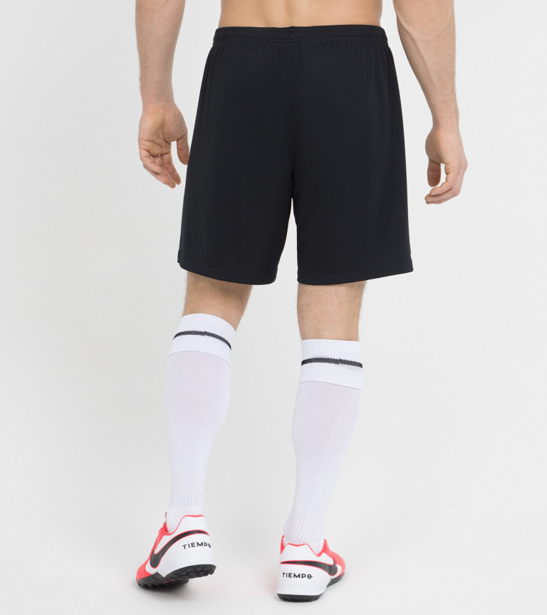 Шорты мужские Nike Jordan x Paris Saint-Germain Stadium Fourth