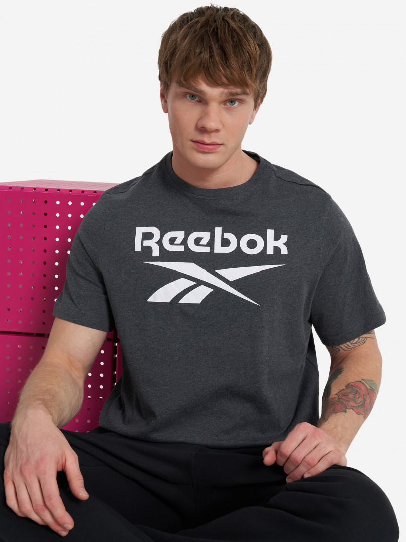 Футболка мужская Reebok Identity Big Logo 30055600299 Серый, размер 54, фото 1