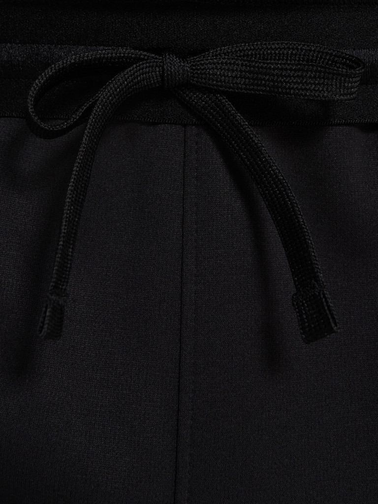 Брюки флисовые мужские The North Face Mountain Athletics