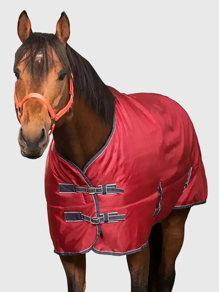 Попона для лошадей
