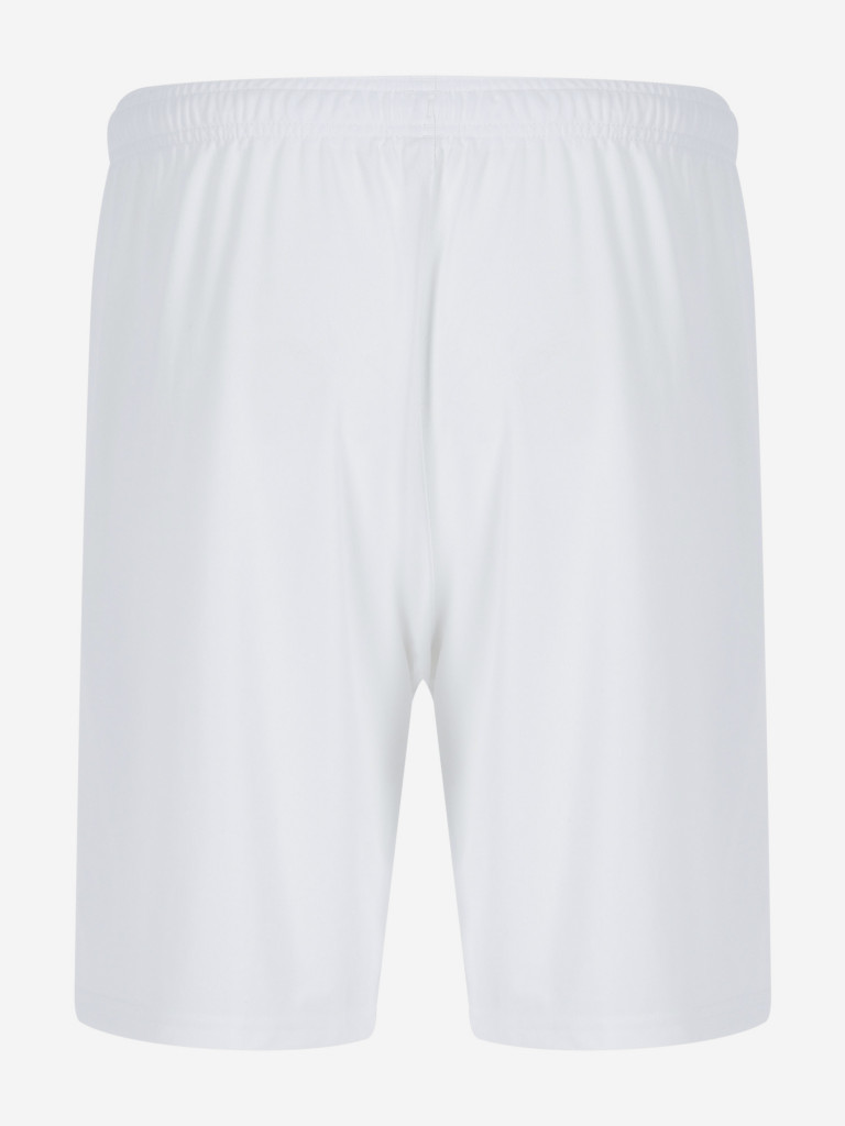 Шорты мужские PUMA teamLIGA