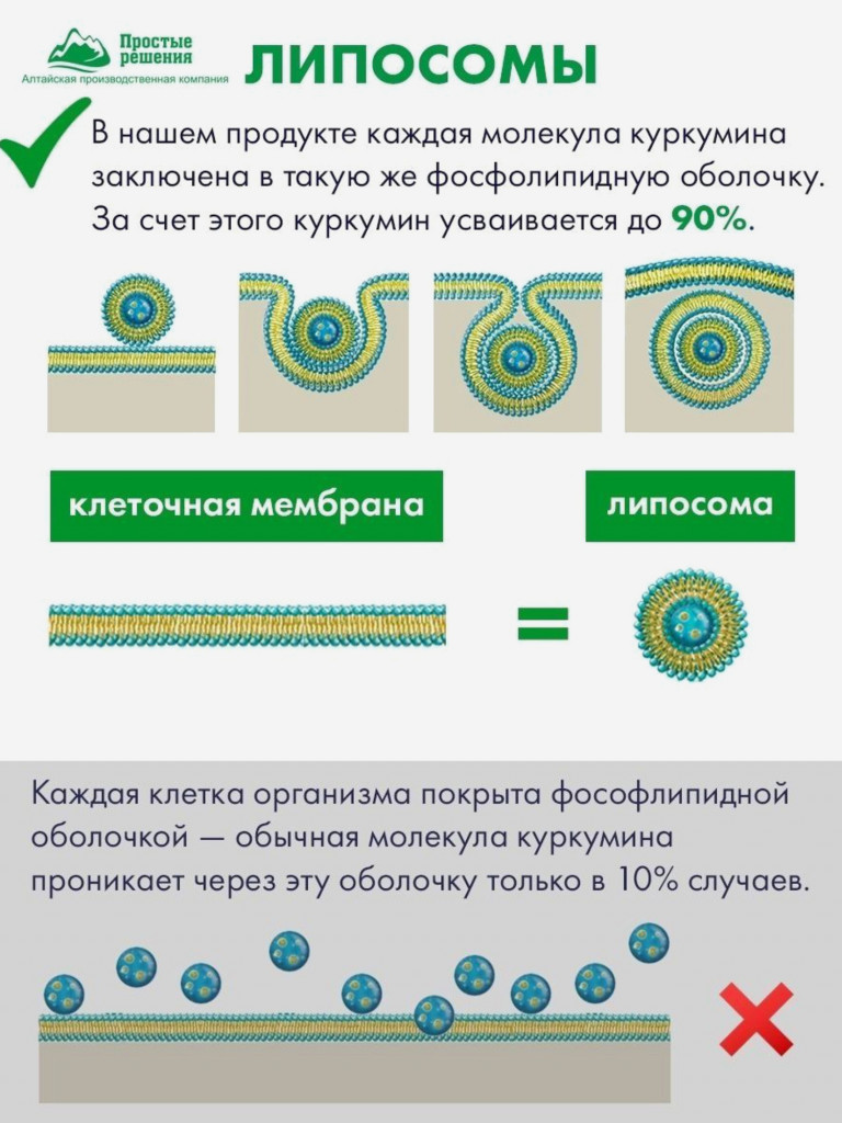 Комплекс Липосомальный куркумин Биотин Коллаген Цинк, 60 капсул, Простые решения