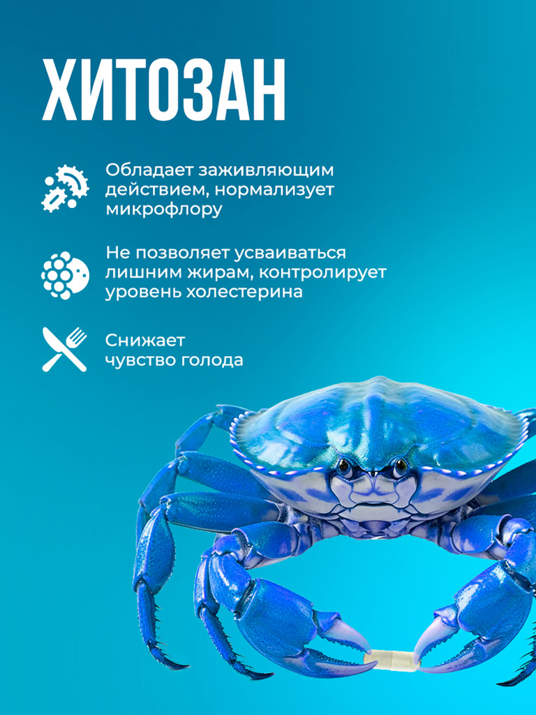 Система очищение, детокс-комплекс с хитозаном, ламинарией и альгинатом кальция, для снижения веса и выведения токсинов, БАД, 60 капсул / Доктор Море