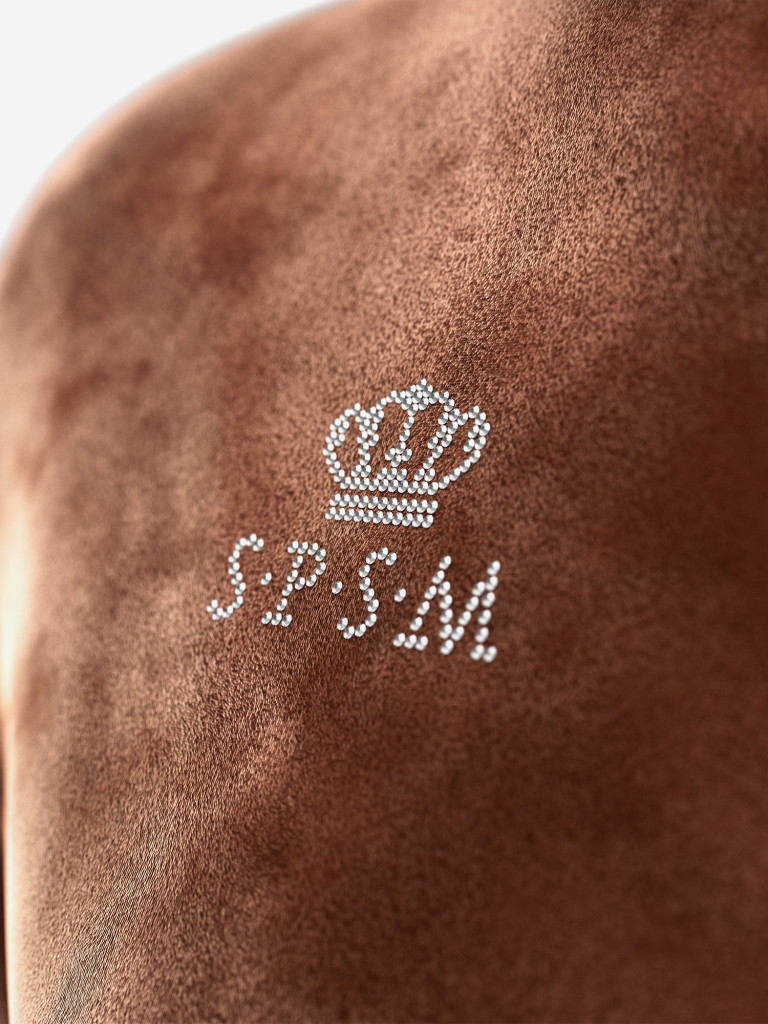 Коричневый велюровый костюм spsm