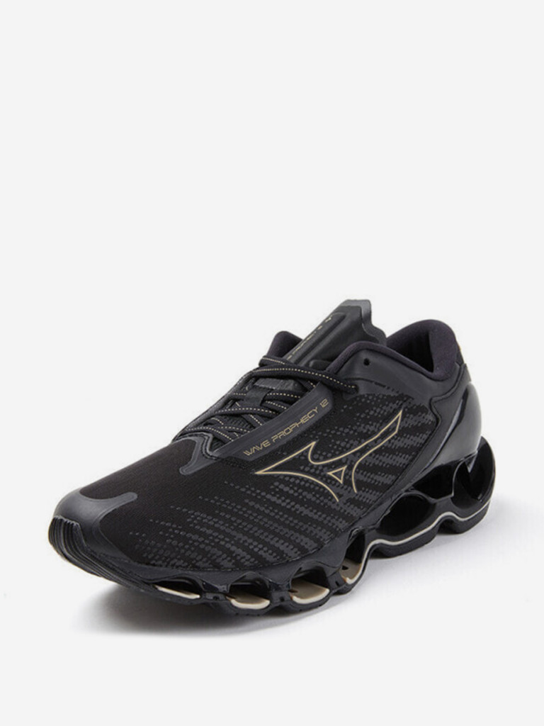 Кроссовки Mizuno Wave Prophecy 12