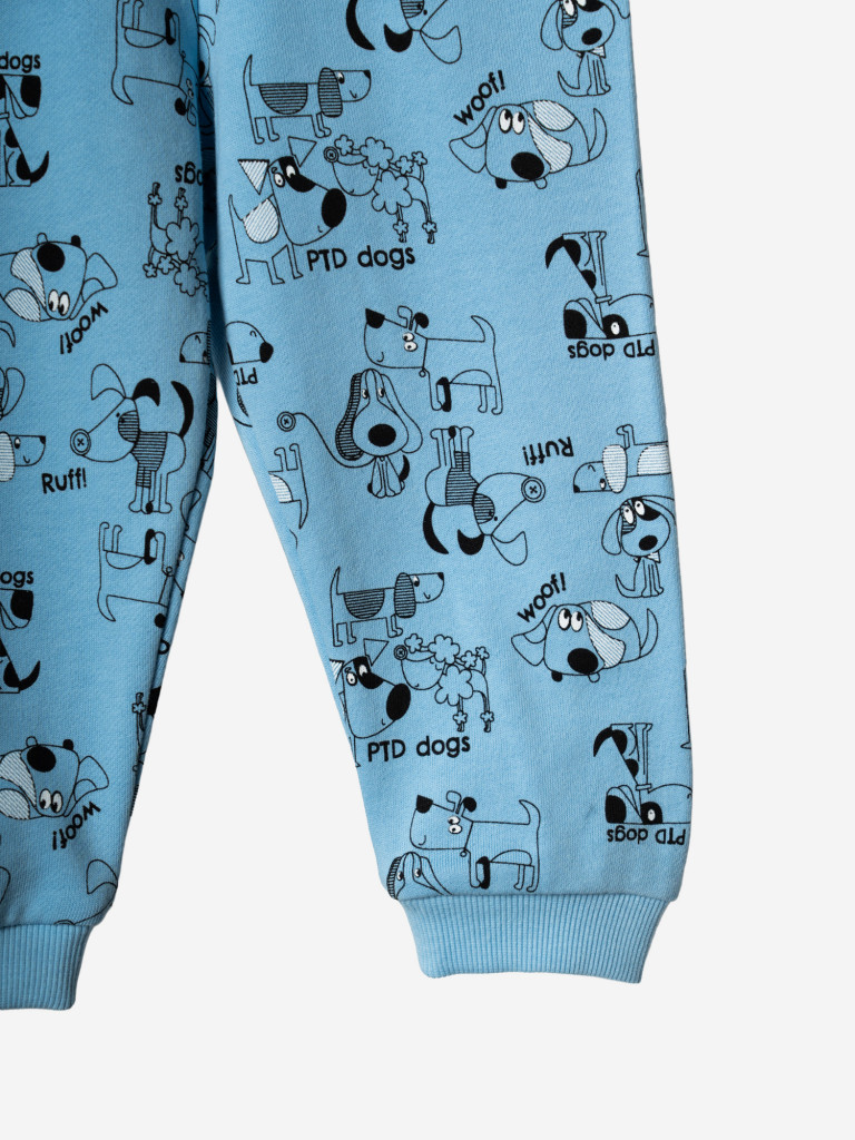 Комплект для мальчиков: толстовка, брюки PlayToday