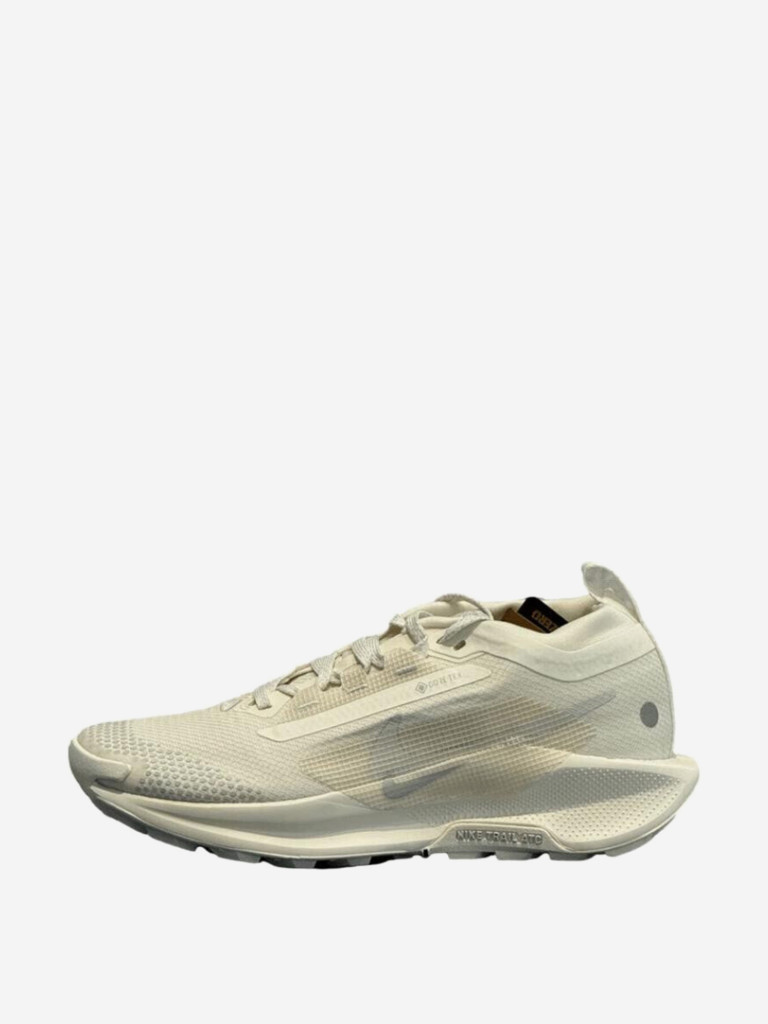 Кроссовки Nike Pegasus Trail 5