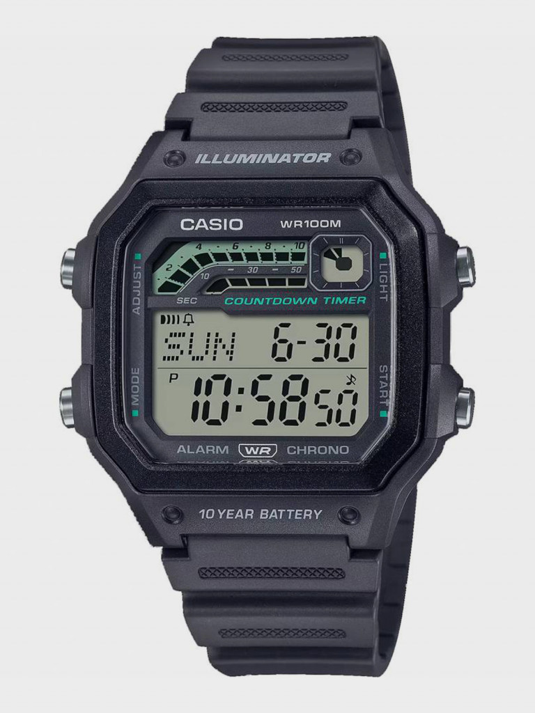 Спортивные часы CASIO WS-1600H-8A
