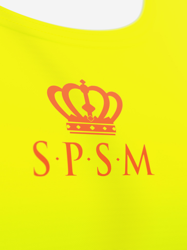 Купальник раздельный SPSM