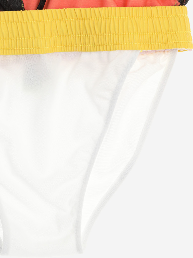 Шорты для мальчиков Quiksilver Paradise Volley