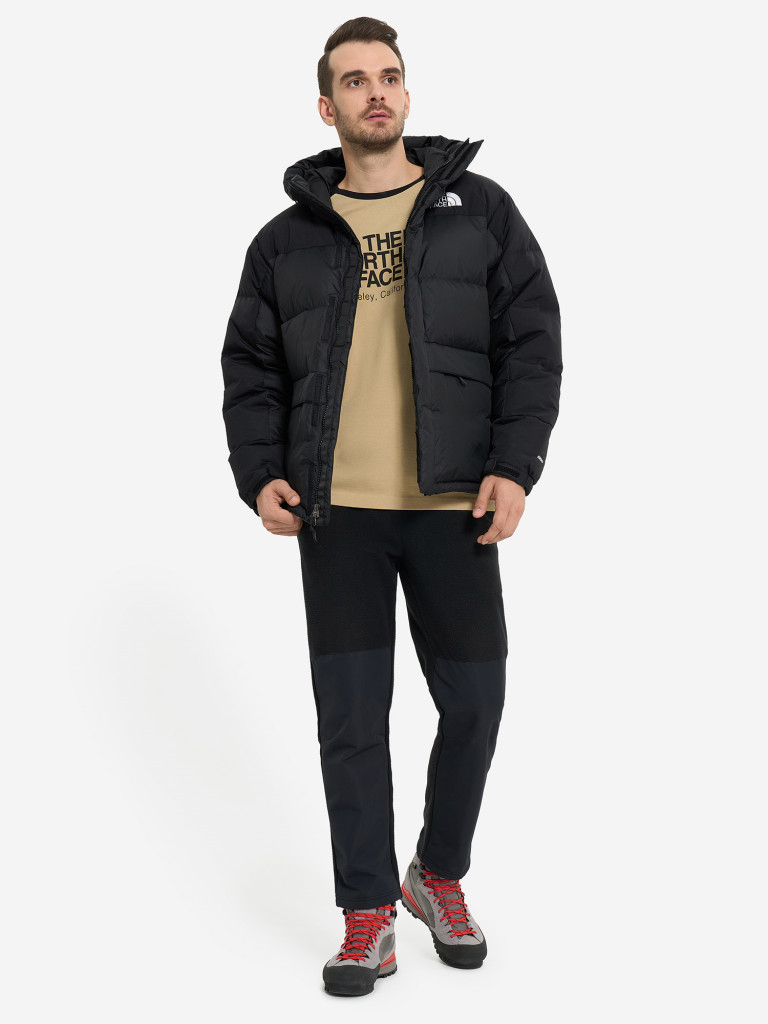 Пуховик мужской The North Face Hmlyn
