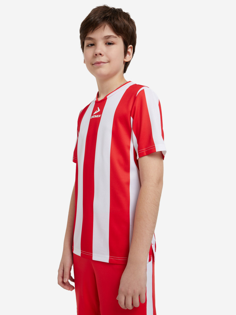 Футболка для мальчиков Demix Legacy