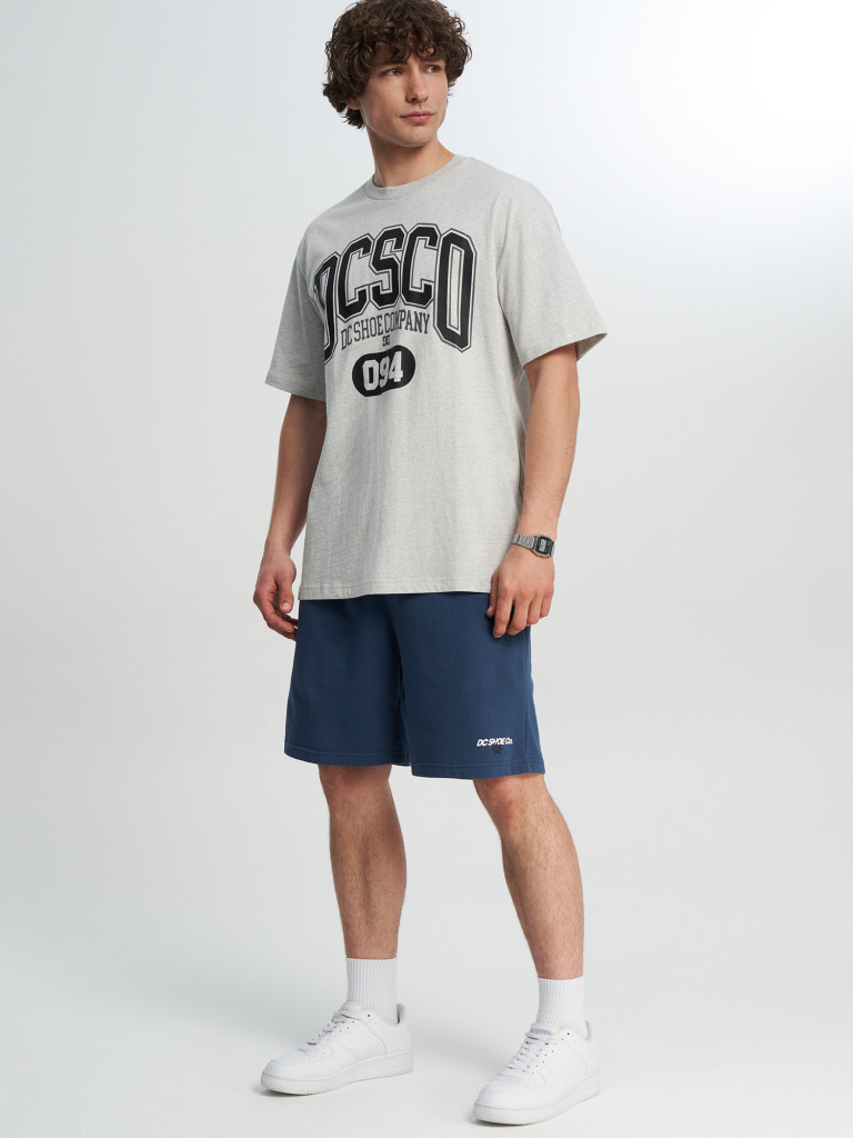 Футболка мужская DC Shoes Elective