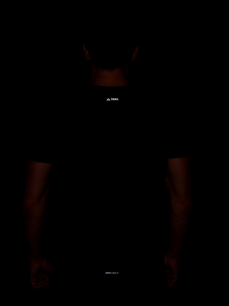 Футболка мужская Demix