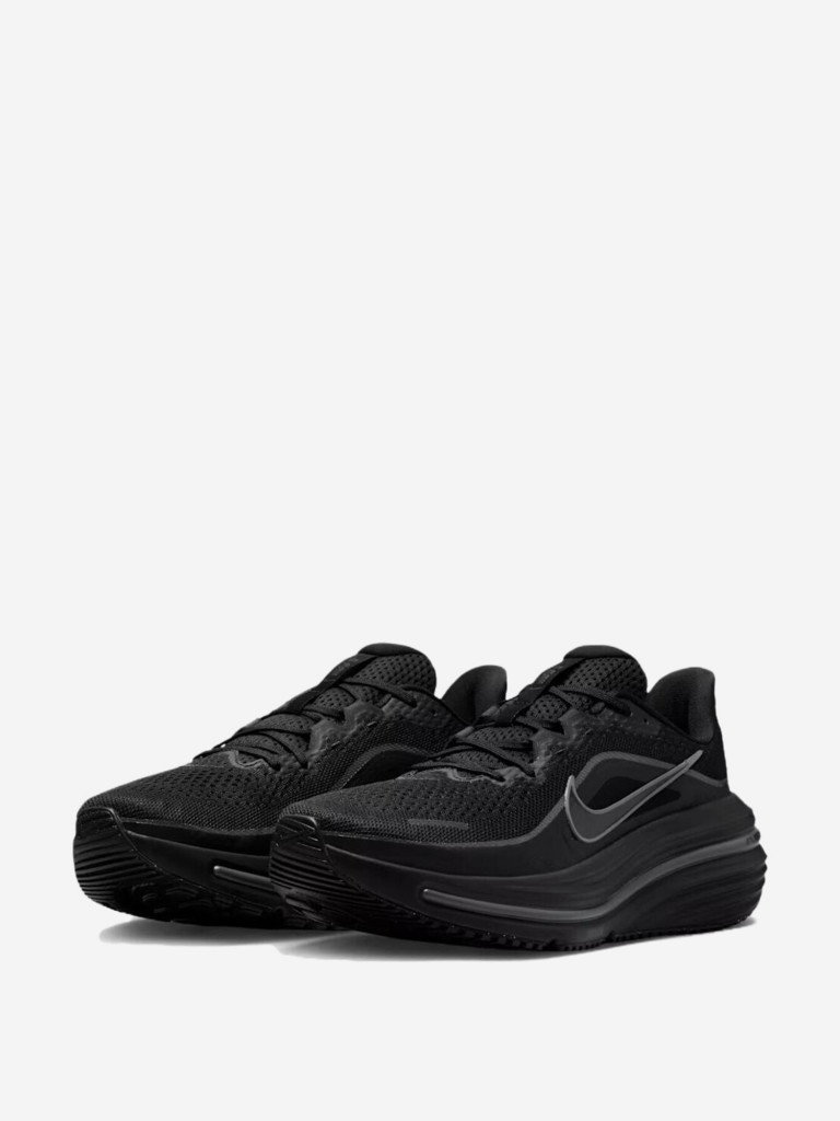 Кроссовки мужские Nike Winflo 12