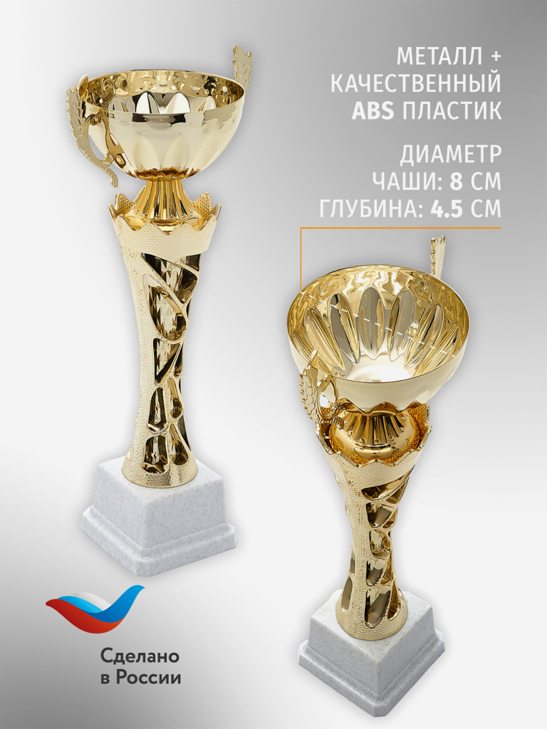 Спортивный кубок для награждения победителя 26.5 см