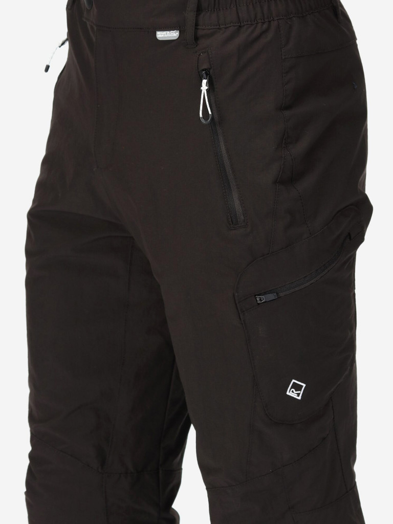 Брюки мужские Regatta Highton Wintr Trs