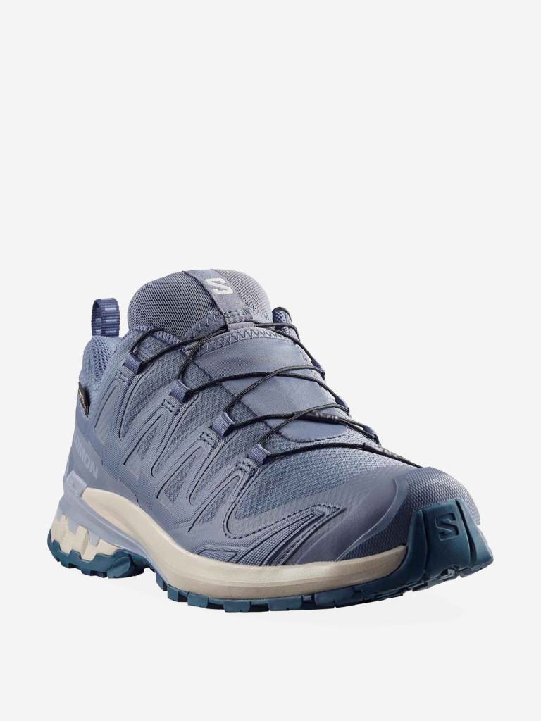 Кроссовки беговые Salomon XA PRO 3D V9 GTX W