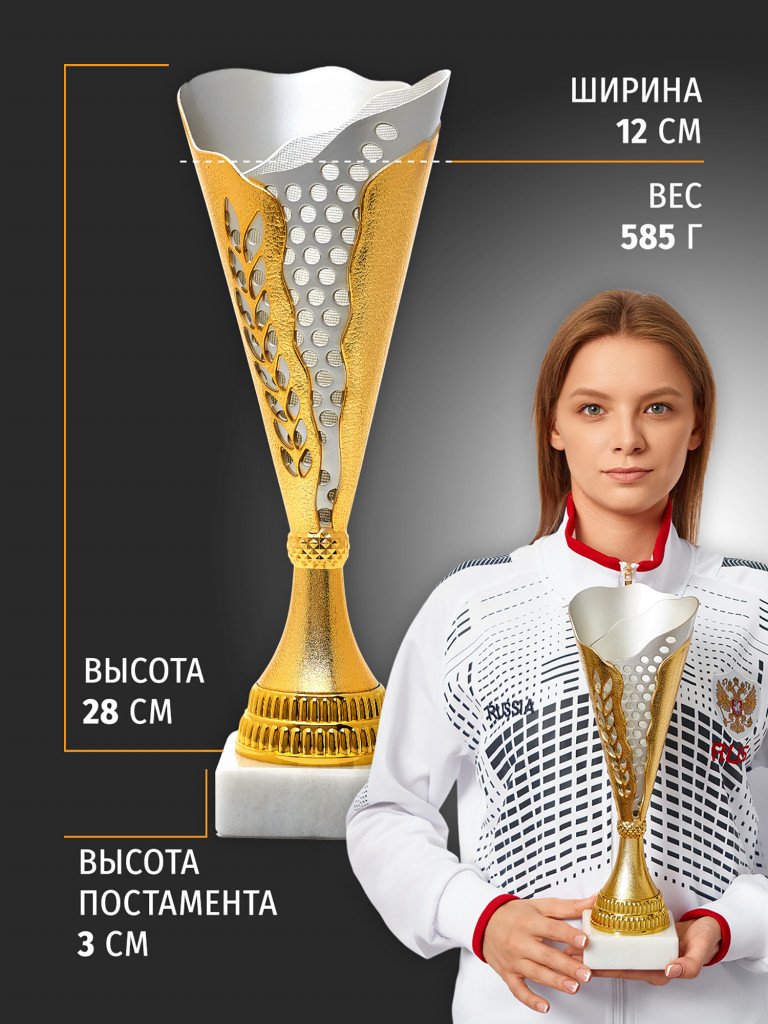 Кубок спортивный для награждения победителей 31 см