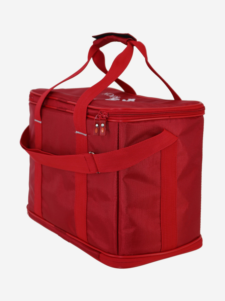 Термосумка Рион+ (RION+)